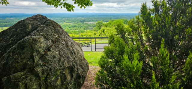 Bluemont Vineyard views 5