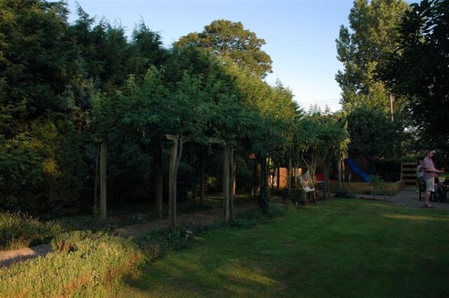 Woodland Cottage - back garden (3)