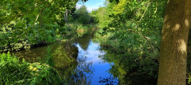 Charingworth pond (2)