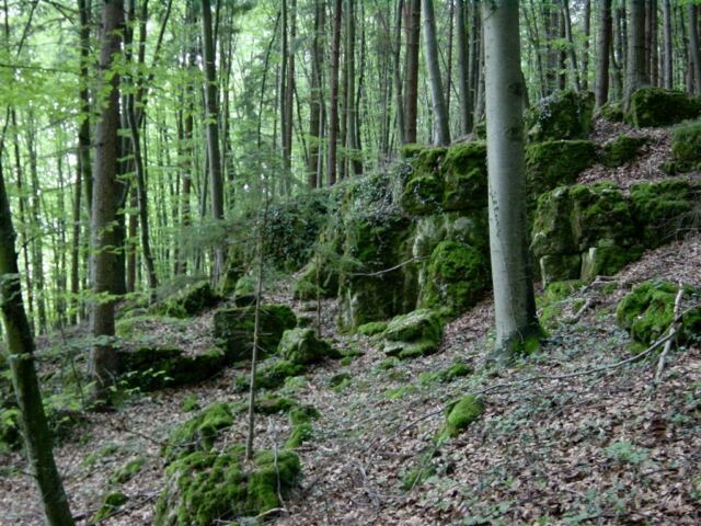 mossy-rocks-4