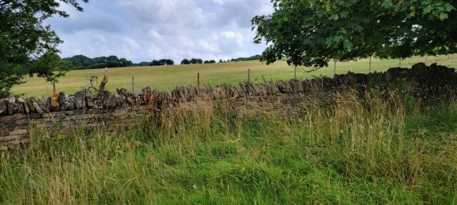 Broadway Tower - Cotswold Way scenery (19)