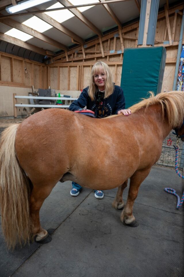 The Shetland Pony Experience 54