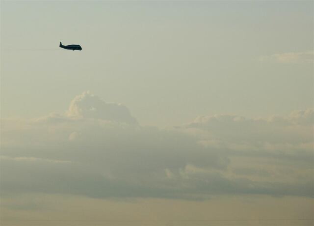Guppy on final to Ellington