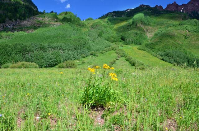Maroon Bells - surrounding hills 04