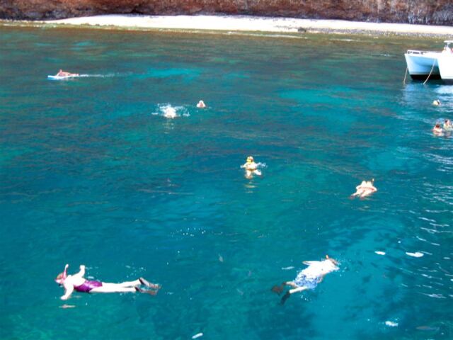 PO - snorkeling (2)