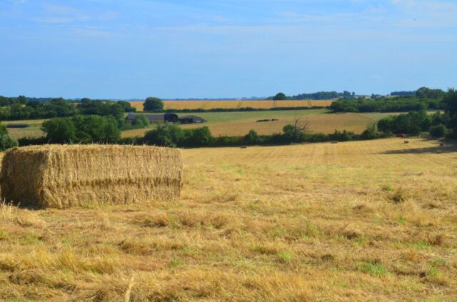 Bale and fields