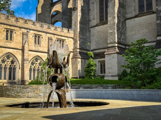 The Cathedral Garth 11