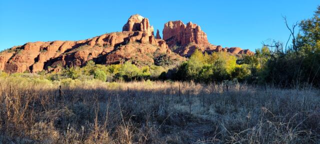Cathedral Rock field views (1)