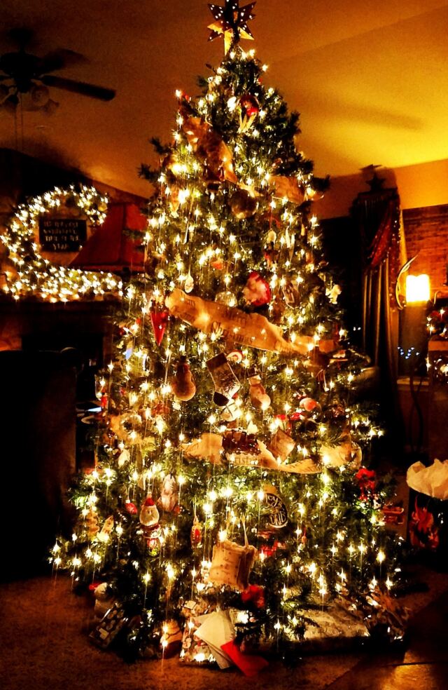 Main-tree-02