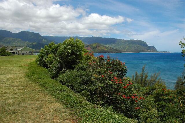 Princeville Hotel scenery (4)