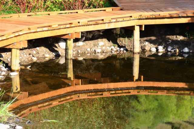 Curved reflections