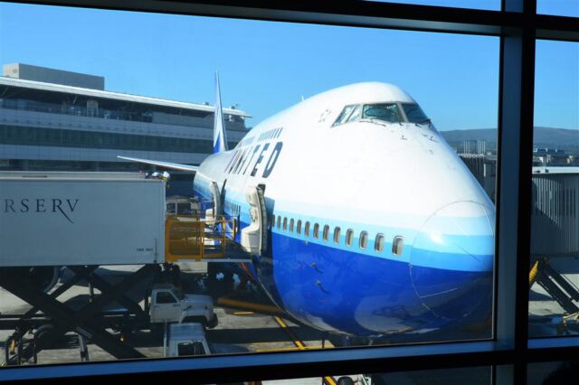 loading-up-the-bird
