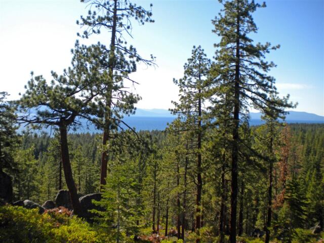 Trailride view of Lake Tahoe (1)