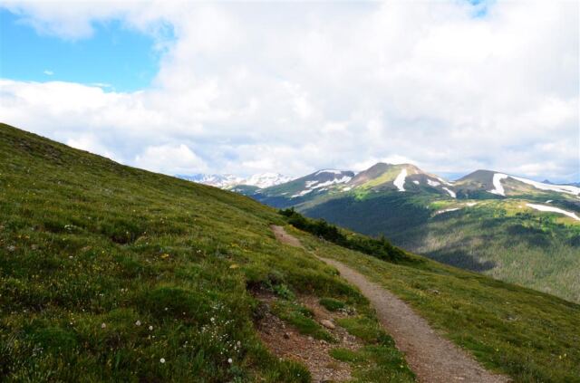 Our path back