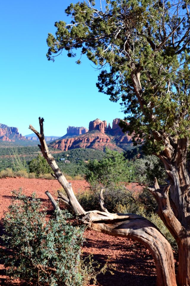 Cathedral Rock - vista views (09)