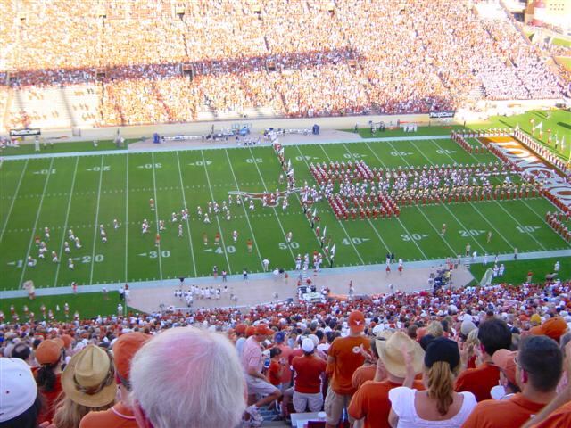 Horns enter the field