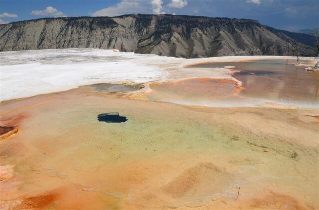 Mammoth Hot Springs Terrace (6)