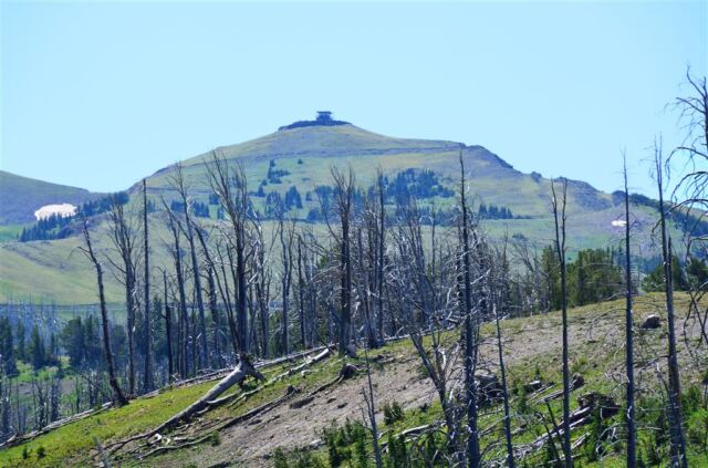 Ranger Station atop Mt. Washburn (with foreground 1988 fire damage)