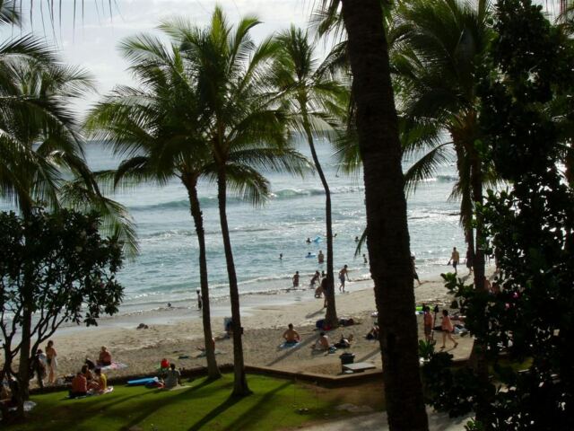 PO - Waikiki Beach through the palms
