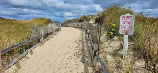 Mayflower Beach 03
