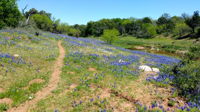 Willow Loop valley 3