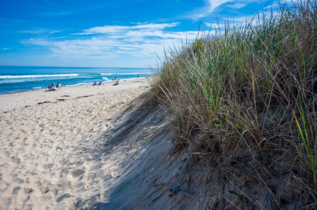 Nauset Beach 05