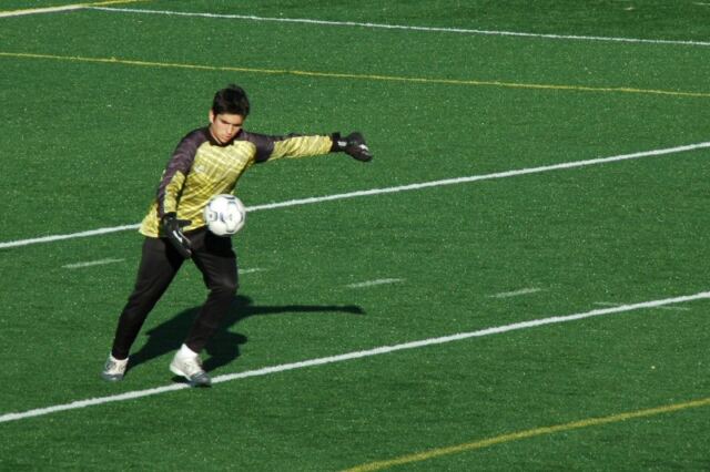 punting-the-ball
