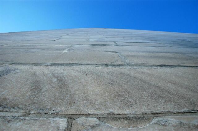 Looking up (1)