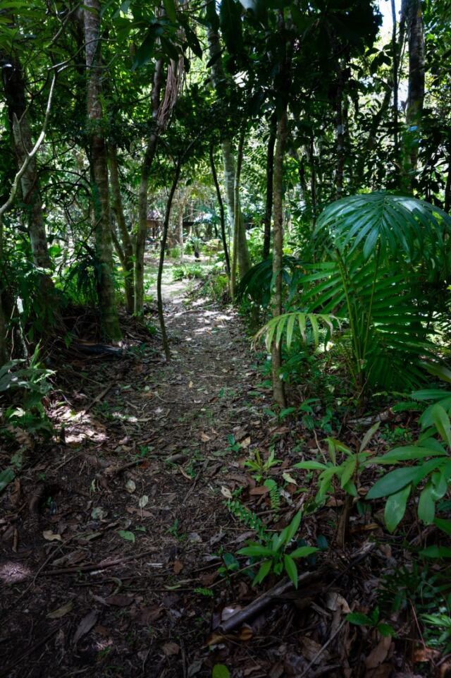 Liamuga Natural Farm tour (15)