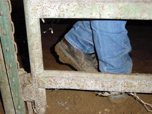 muddy-boots