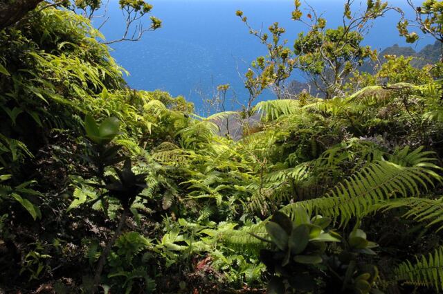 Kalalau Valley (45)