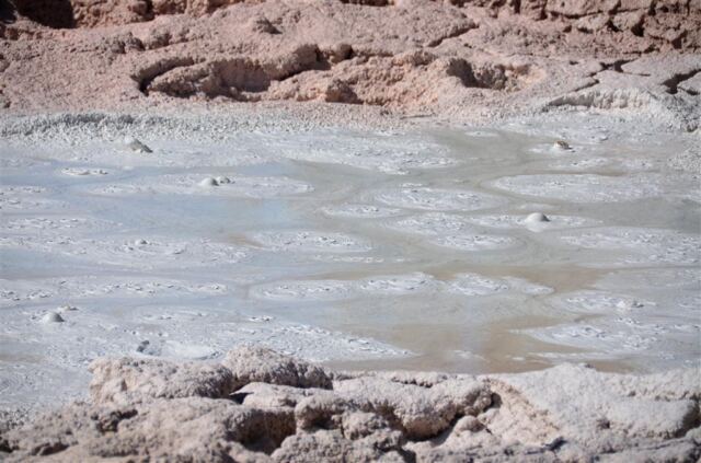 Fountain Paint Pot (1)