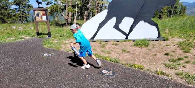 Cole taking moose-sized strides 3