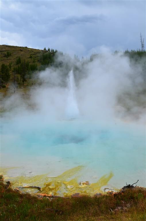 Imperial Geyser (7)
