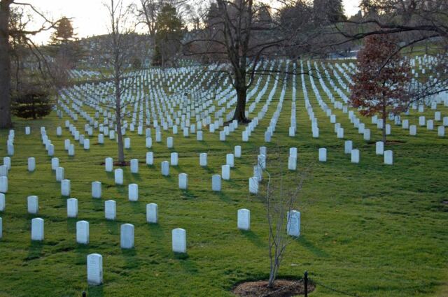 Arlington markers (8)