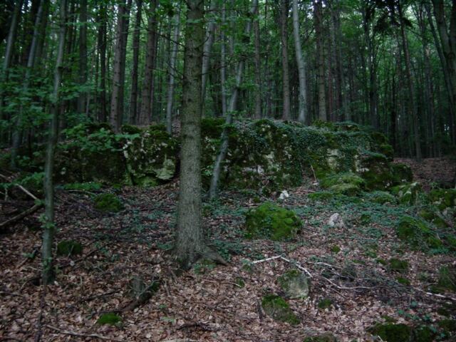 mossy-rocks-6