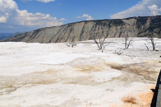 Mammoth Hot Springs Terrace (4)