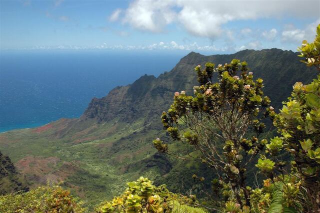 Kalalau Valley (42)
