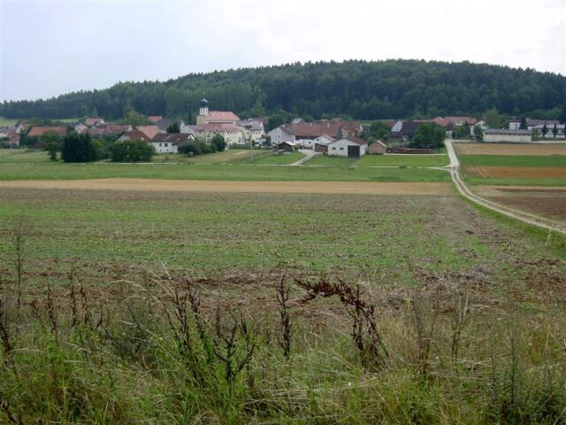 from-start-of-forest-back-towards-hormannsdorf
