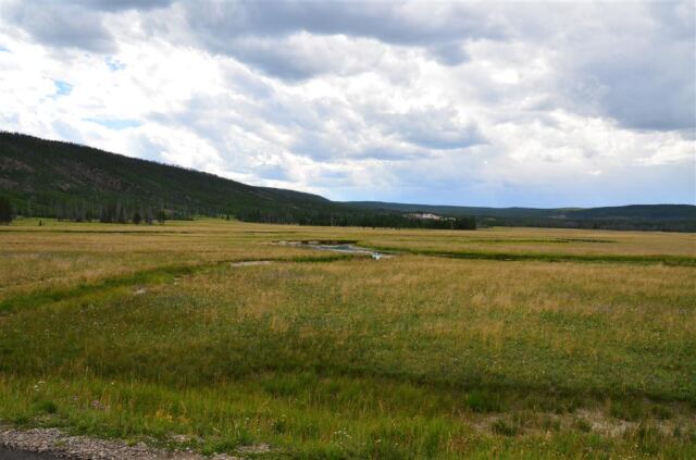 Marshy meadow where the bison parade originated
