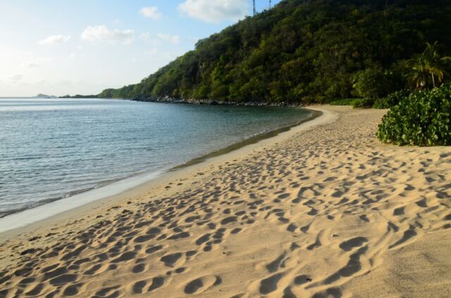 Lots of footprints