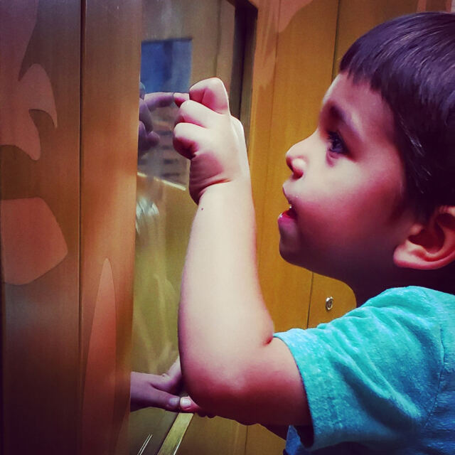 Cole-finding-the-tree-frog
