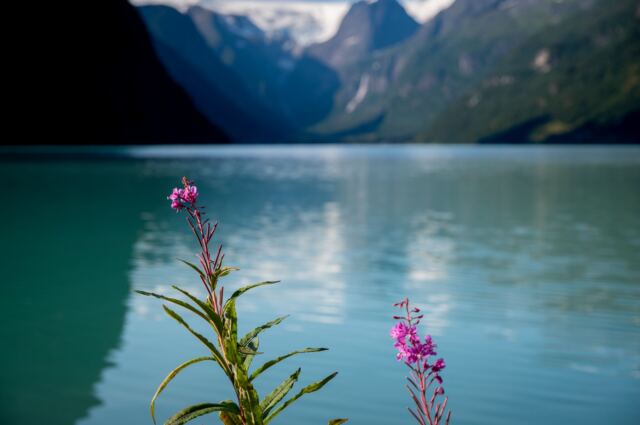 Oldevatnet - glacial lake views 04