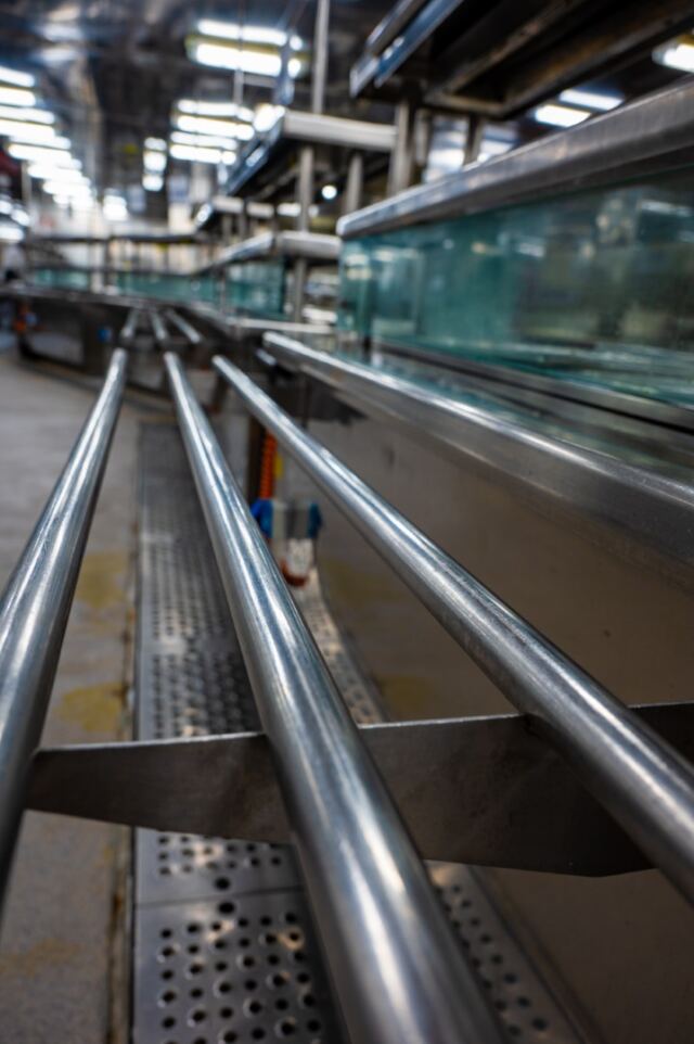 Bolette BTS tour - galley 03