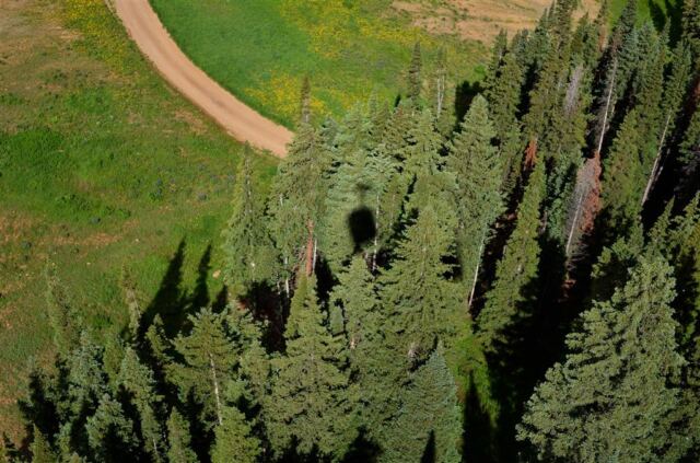 Godola shadows