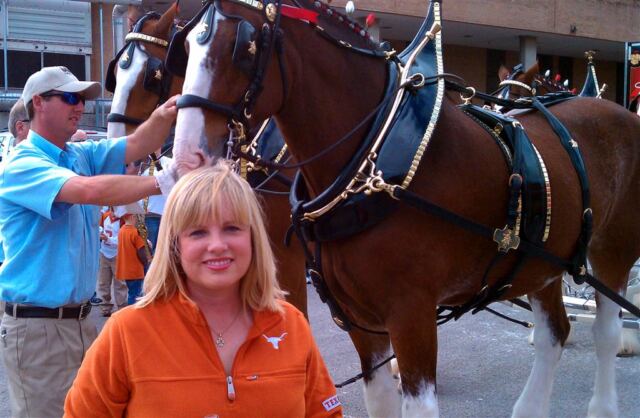 Kathy and the Clydesdales - ready to roll