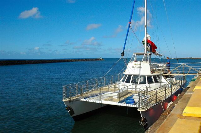 Blue Dolphin catamaran