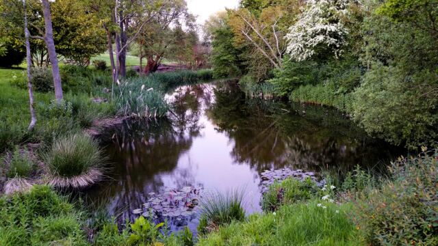 Charingworth Pond