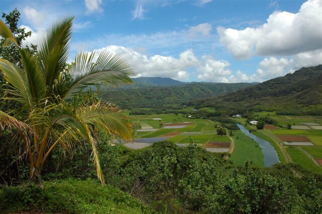 Hanalei Valley (2)