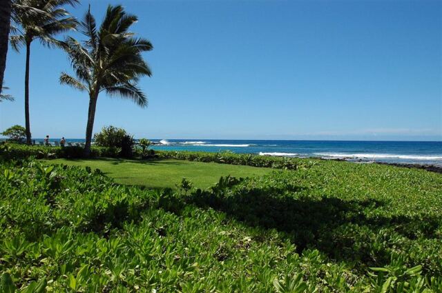 Waiohai Beach Club (8)
